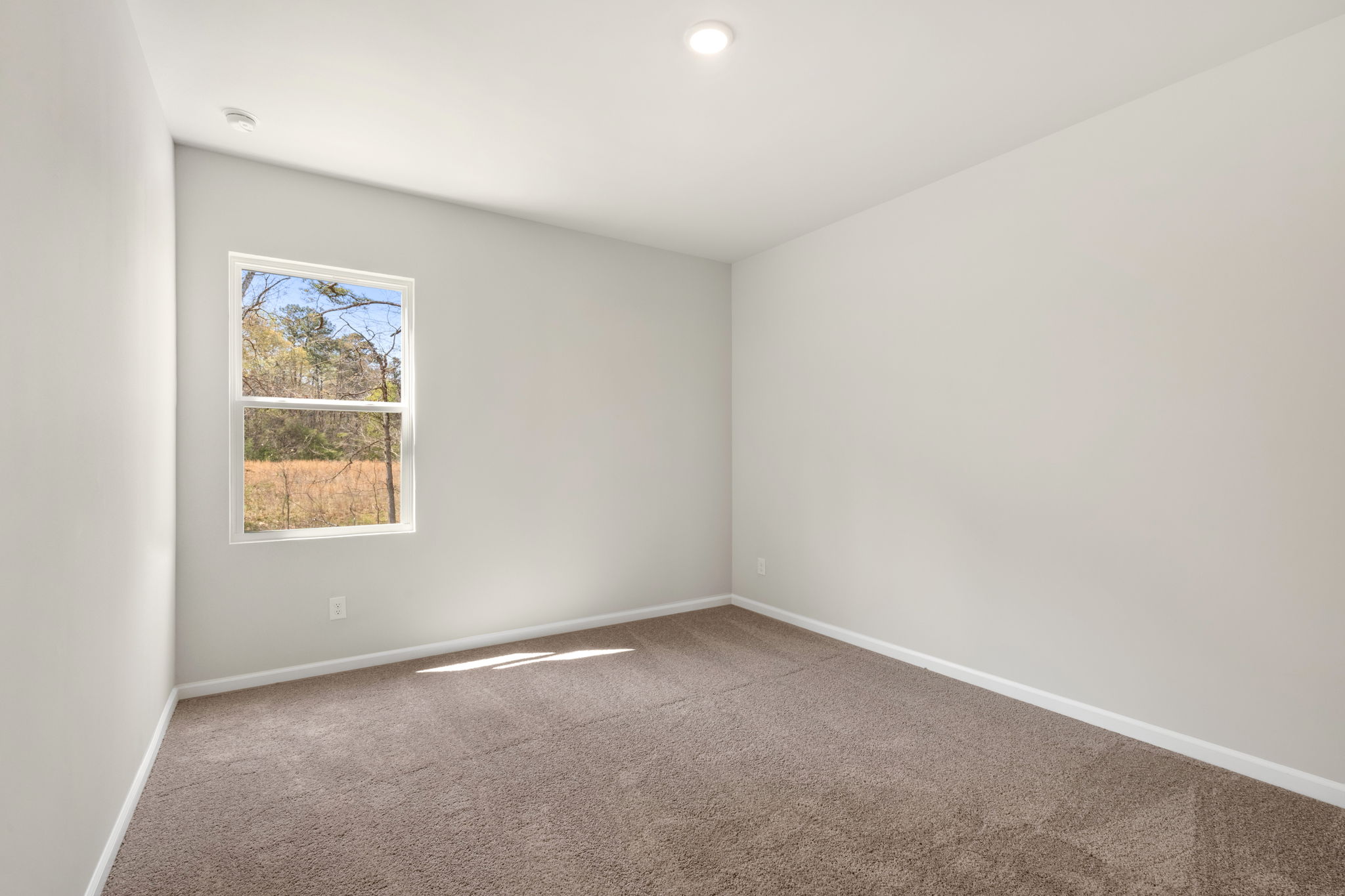 A room with a window and a carpet.
