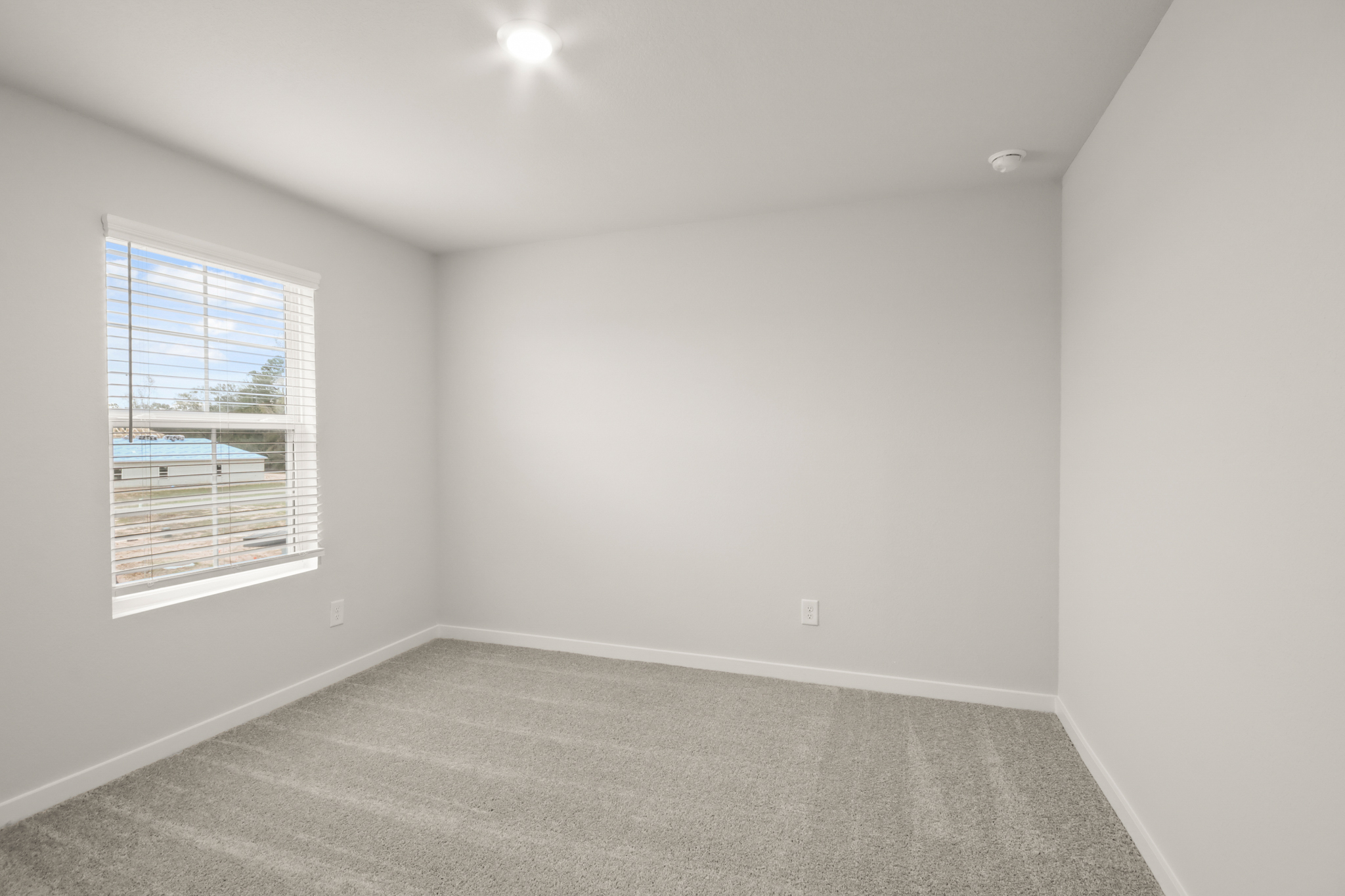 A room with a window and a carpet.