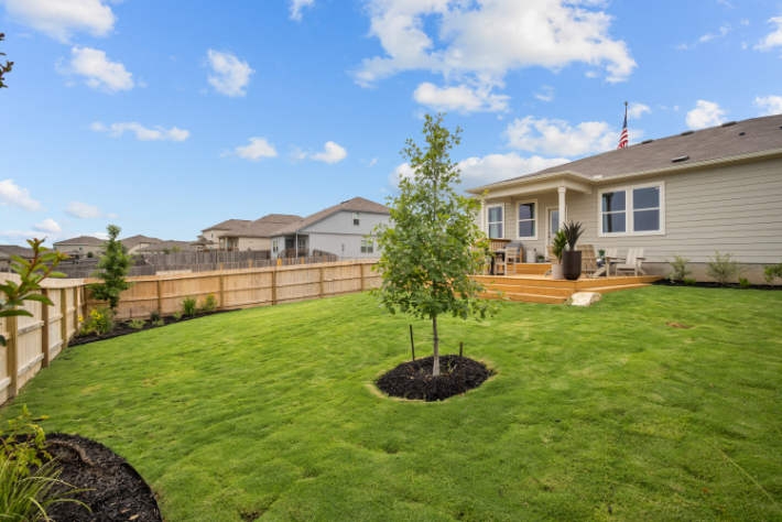 A large green lawn with a tree and a fence and a house.