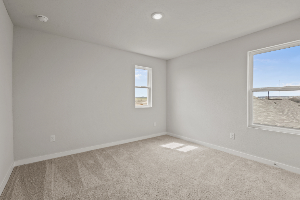 A room with a carpet and windows.