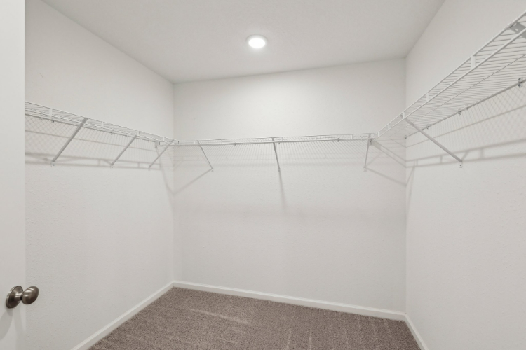 A white room with a carpet.